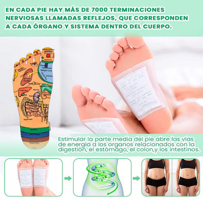 Parches Desintoxicantes KINOKI - ELIGE TU PROMOCIÓN